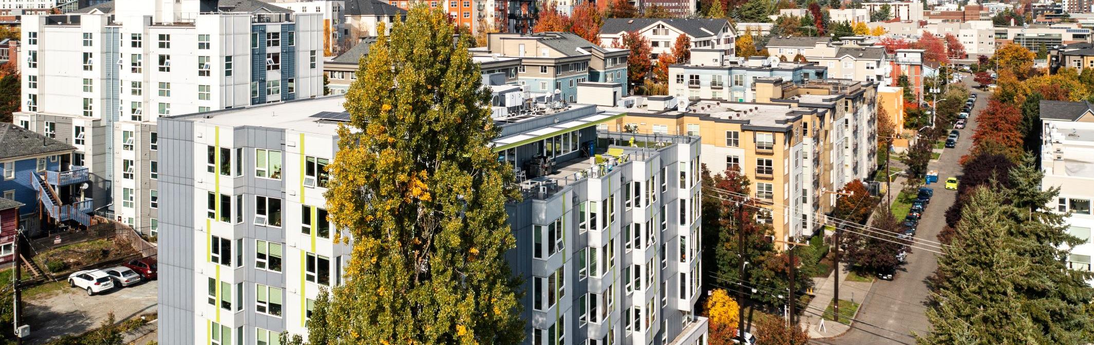 Aerial view of a neighborhood